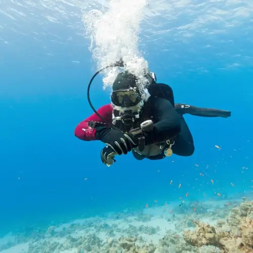 Importància de la pressió assoluta al fons oceànic