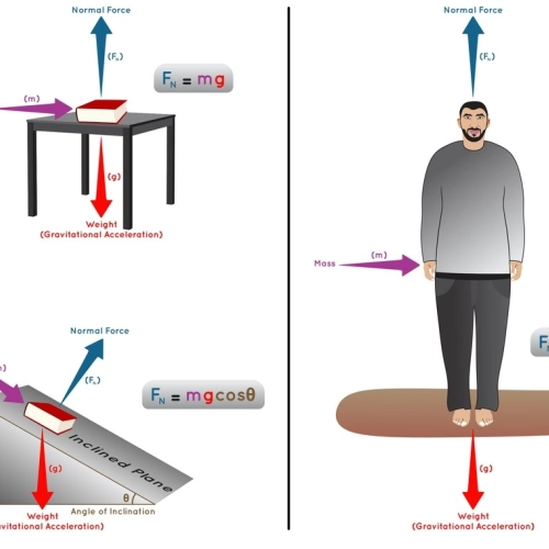 Infograma sobre la fuerza normal