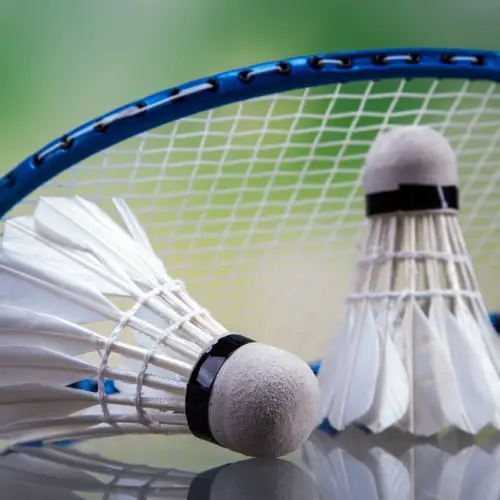 Raqueta de bádminton