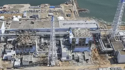 Accident nuclear de Fukushima, Japó. Causes i conseqüències